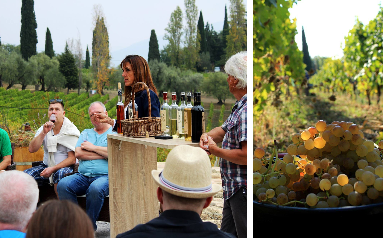 聖保羅酒莊品酒